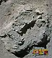 Burial 3 - Excavation at phase 1.