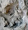 Burial 7. Excavation at exposition 13.
