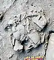 Burial 11 - Excavation at exposition 1.