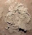 Burial 15. Excavation at exposition 10.