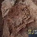 Burial 19. Excavation at phase 10.