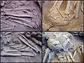Burial 1. Detail of body position.