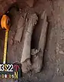 Burial 22. Excavation at exposition 16.