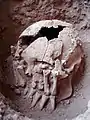 Burial 26 - Decapitation and amputated hands.