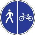 Cycle and pedestrian path