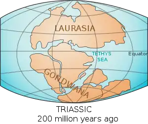 World map showing the continents circa 200 million years ago (Triassic period)