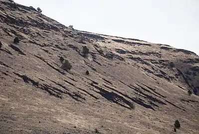 Stone stripes on Catlow Rim.