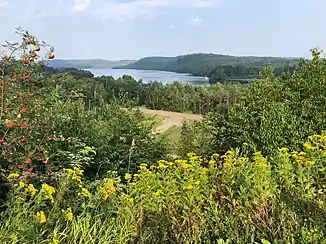 Lax Lake view from hill