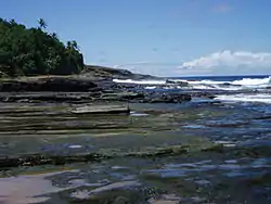 Leala Shoreline National Natural Landmark