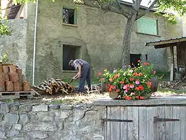 A view within Le Sauze-du-Lac