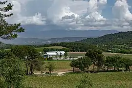 A view of the Château La Coste vineyard