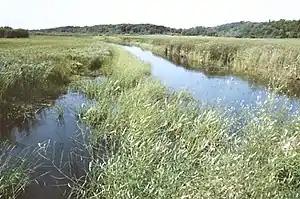 The Leaf River in Deer Creek Township