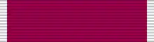 A purple military ribbon with a thick white line at each end