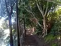 Greenway path - Leichardt 2022