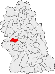 Location in Hunedoara County