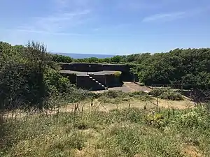 Lentney Battery Plymouth 10