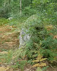 Menhirs in Les Baux-Sainte-Croix