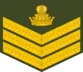 Staff sergeant(Lesotho Army)