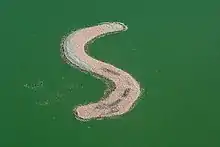 Breeding colony at Kamfers Dam