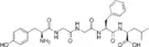 Chemical structure of Leu-enkephalin.