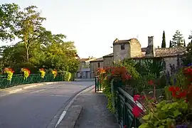 The Avenue de Carcassonne in Leuc