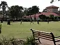 A family playing cricket on the Village Green