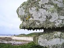 Image 36Lichen covered rocks (from Marine fungi)