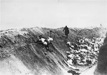 Immediately following the shooting. The man on the right is the "kicker", responsible for shoving the bodies into the pit.