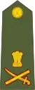 Lieutenant generalलेफ्टिनेंट - जनरल(Indian Army)