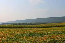 Line Mountain in Upper Mahanoy Township