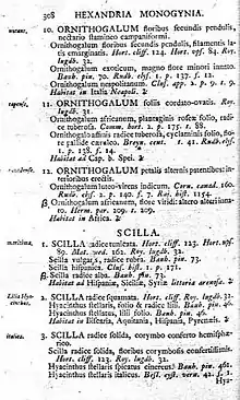 Linnaeus' original description of Scilla in 1753