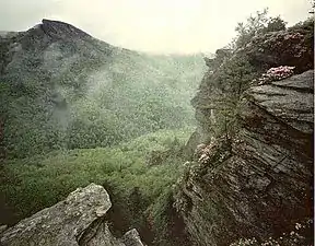 Gorge and Hawksbill from Wiseman's View