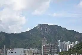 Image 3Lion Rock is also symbolic of Hong Kong. Hong Kongers has a term - "Beneath the Lion Rock" (獅子山下) - which refers to their collective memory of Hong Kong in the second half of the 20th century. (from Culture of Hong Kong)