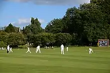 cricket match in progress