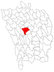 Location in Vaslui County