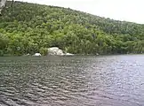 Little Rock Pond from the Long Trail