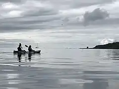 Kayaking off Little Cumbrae in the Clyde