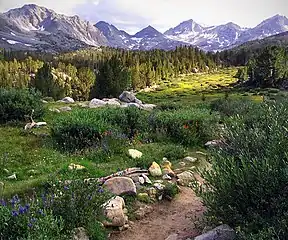 Little Lakes Valley in the John Muir Wilderness