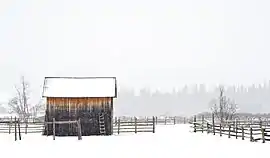 Rural landscape in Coșna