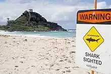 Image 8A sign at Pyramid Rock Beach in Hawaii warning about a shark sighting, 2015 (from Shark tourism)