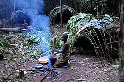 Image 15The Aka Pygmies living in the Dzanga-Sangha Special Reserve (from Central African Republic)