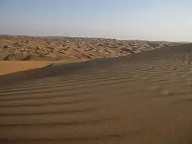 Liwa desert