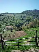 Ljubićevac on Rudnik Mt., near Stragari