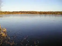 A frozen lake surrounded by trees