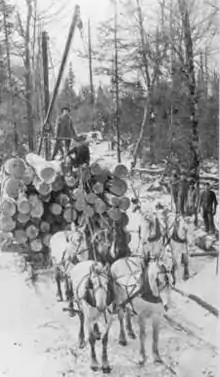 Image 29Logs being transported on a sleigh after being cut (from History of Wisconsin)