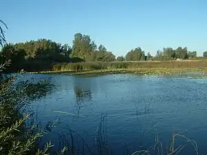 View of a channel through the marsh in Long Point Bay.