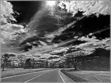 "Black and white photo of a road curving under an open sunny sky"