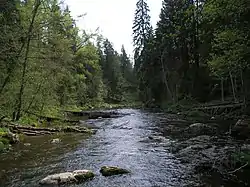 Loobu river near Porgaste