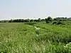Stodmarsh