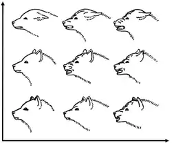 Image 16A drawing by Konrad Lorenz showing facial expressions of a dog - a communication behavior. X-axis is aggression, y-axis is fear. (from Dog behavior)